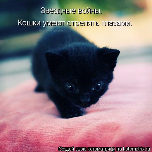 Котоматрица: Звёздные войны. Кошки умеют стрелять глазами.