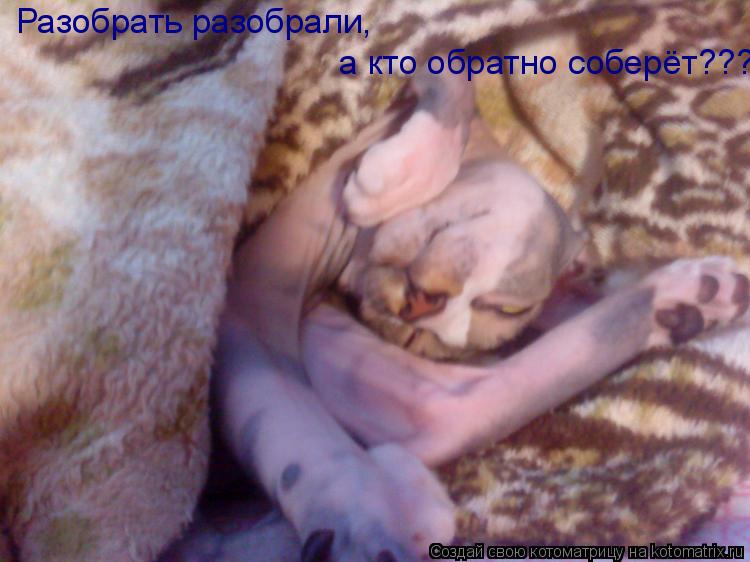 Котоматрица: Разобрать разобрали,  а кто обратно соберёт???
