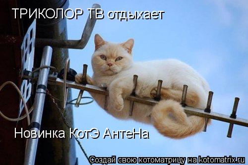 Котоматрица: ТРИКОЛОР ТВ отдыхает Новинка КотЭ АнтеНа