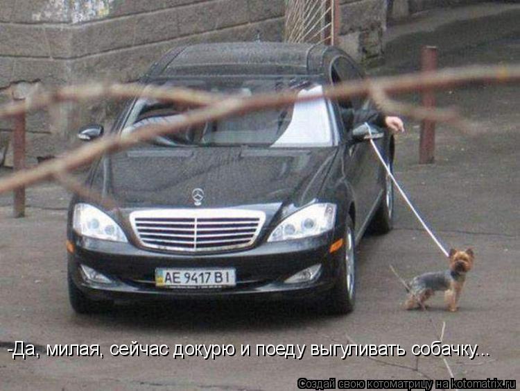 Котоматрица: -Да, милая, сейчас докурю и поеду выгуливать собачку...