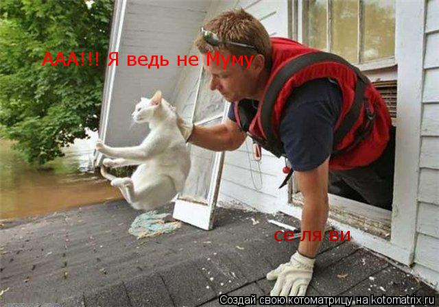 Котоматрица: ААА!!! Я ведь не Муму се ля ви