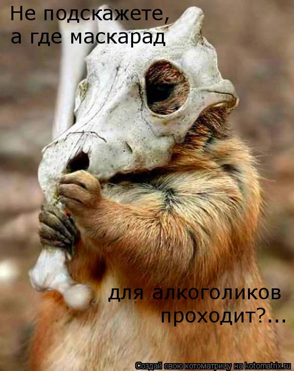 Котоматрица: Не подскажете, Не подскажете, а где маскарад для алкоголиков проходит?...