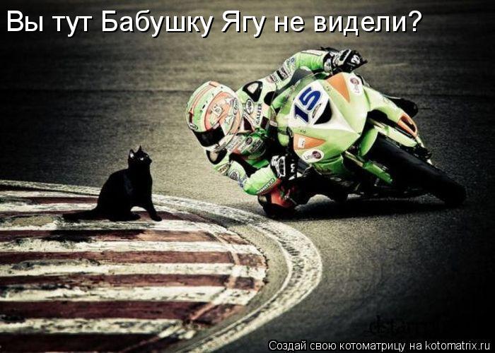 Котоматрица: Вы тут Бабушку Ягу не видели?