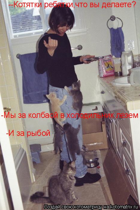 Котоматрица: --Котятки ребятки,что вы делаете? -Мы за колбасй в холодильник лезем -И за рыбой