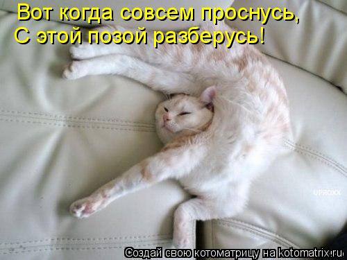 Котоматрица: Вот когда совсем проснусь, С этой позой разберусь!