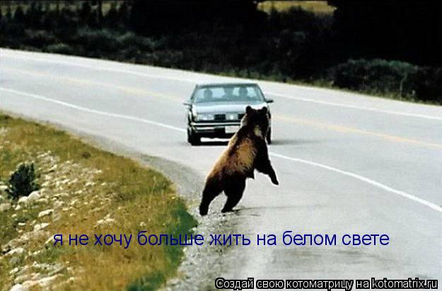 Котоматрица: я не хочу больше жить на белом свете