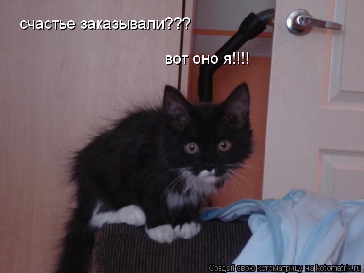 счастье заказывали??? вот оно я!!!!... Котоматрица: счастье заказывали??? вот оно я!!!!