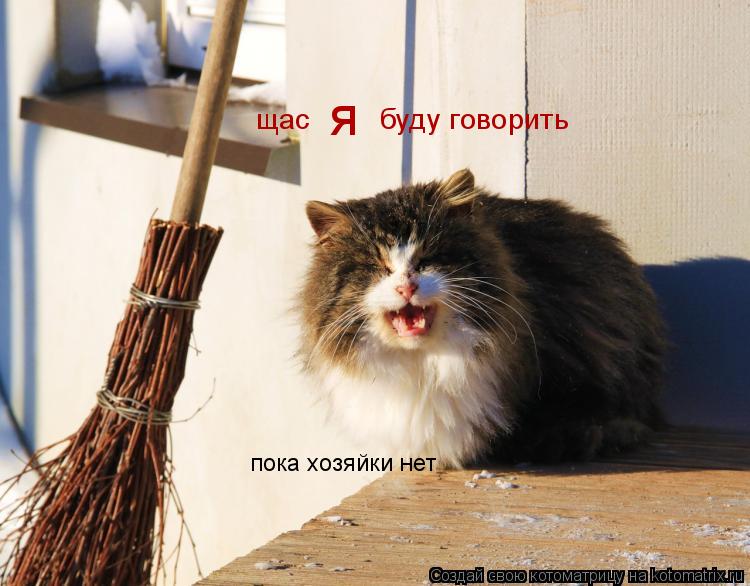 Котоматрица: щас  я буду говорить пока хозяйки нет