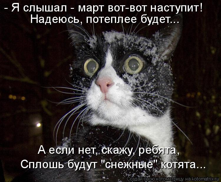 Котоматрица: - Я слышал - март вот-вот наступит! Надеюсь, потеплее будет... А если нет, скажу, ребята, Сплошь будут "снежные" котята...