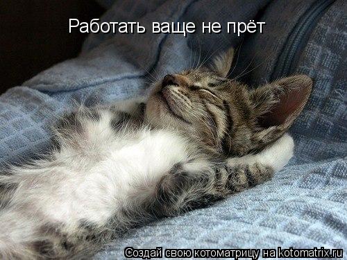 Котоматрица: Работать ваще не прёт