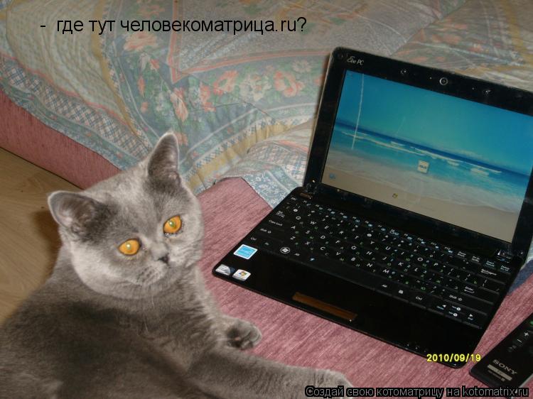 Котоматрица: -  где тут человекоматрица.ru?