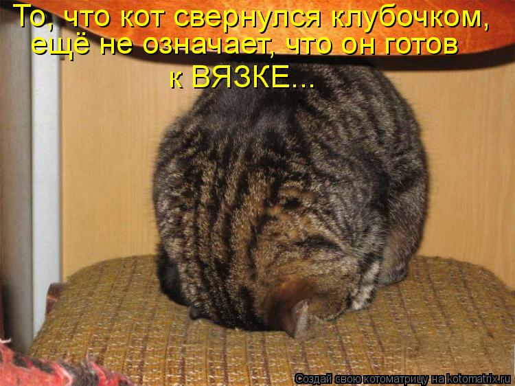 Котоматрица: То, что кот свернулся клубочком, ещё не означает, что он готов к ВЯЗКЕ...