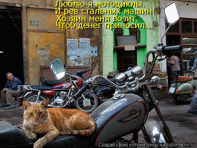 Котоматрица: Люблю я мотоциклы. И рев стальных машин! Хозяин меня возит. Чтоб денег приносил...