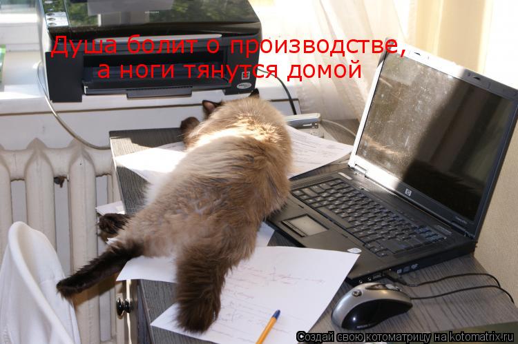 Котоматрица: Душа болит о производстве, а ноги тянутся домой