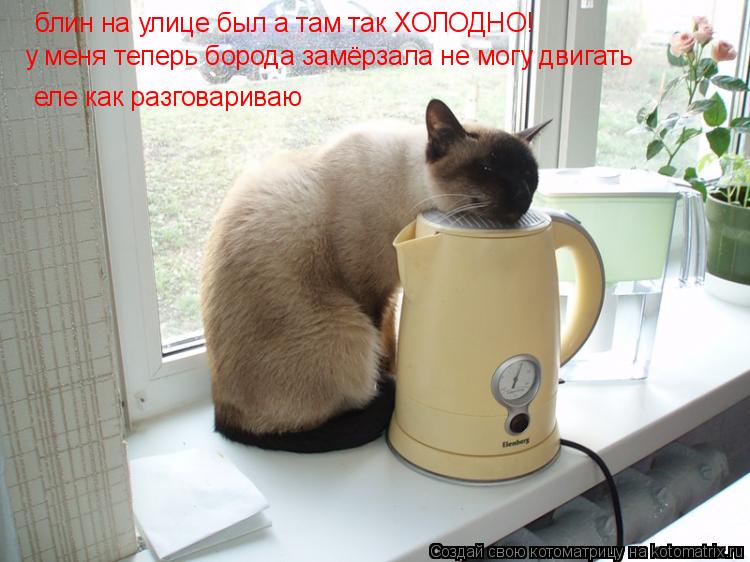 Котоматрица: блин на улице был а там так ХОЛОДНО! у меня теперь борода замёрзала не могу двигать еле как разговариваю