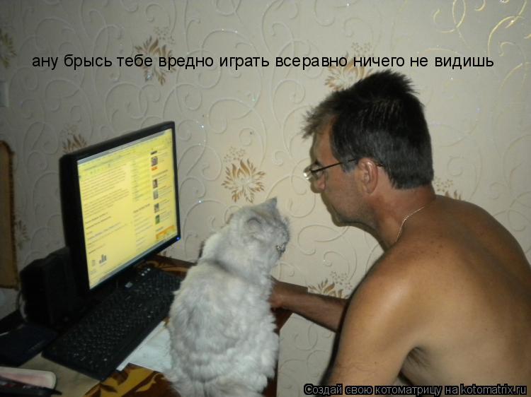Котоматрица: ану брысь тебе вредно играть всеравно ничего не видишь
