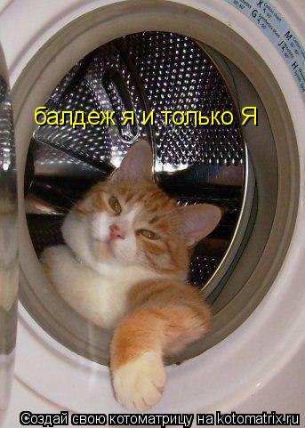 Котоматрица: балдеж я и только Я