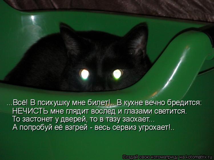 ...Всё! В психушку мне билет!.. В кухне вечно бредится: НЕЧИСТЬ мне глядит вослед и глазами светится.... Котоматрица: ...Всё! В психушку мне билет!.. В кухне вечно бредится: НЕЧИСТЬ мне глядит вослед и глазами светится. То застонет у дверей, то в тазу заохает... А