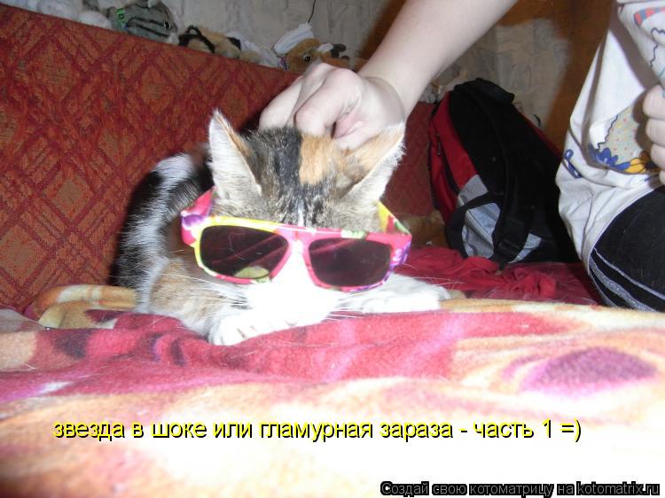 Котоматрица: звезда в шоке или гламурная зараза - часть 1 =)