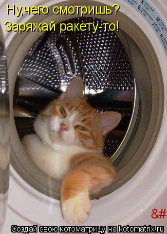Котоматрица: Ну,чего смотришь?  Заряжай ракету-то! &#9792