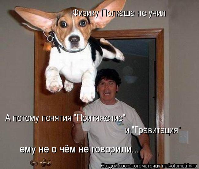 Котоматрица: Физику Полкаша не учил А потому понятия "Притяжение"   и "Гравитация" ему не о чём не говорили...