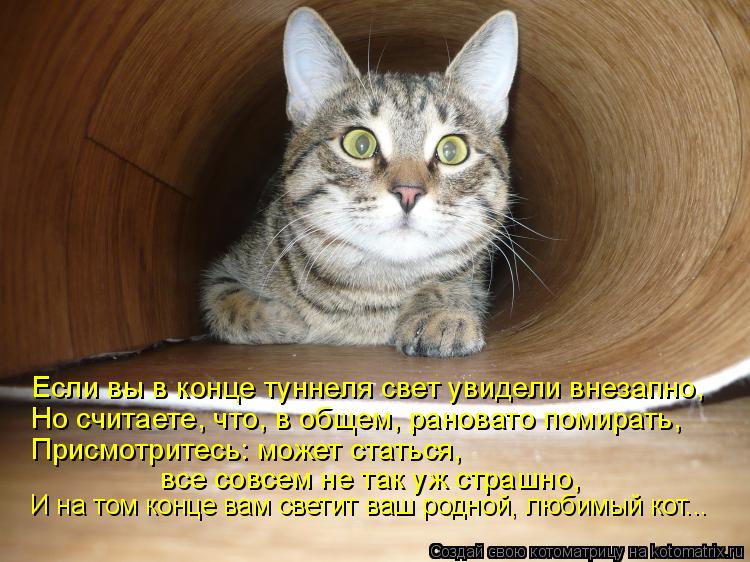 Если вы в конце туннеля свет увидели внезапно, Но считаете, что, в общем, рановато помирать, Присмотр... Котоматрица: Если вы в конце туннеля свет увидели внезапно, Но считаете, что, в общем, рановато помирать, Присмотритесь: может статься, все совсем не так
