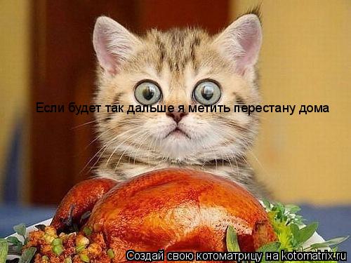 Котоматрица: Если будет так дальше я метить перестану дома