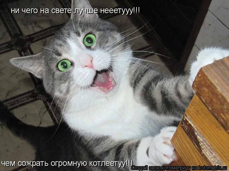 Котоматрица: ни чего на свете лучше нееетууу!!! чем сожрать огромную котлеетуу!!!