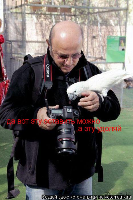 Котоматрица: да вот эту оставить можно ,а эту удоляй