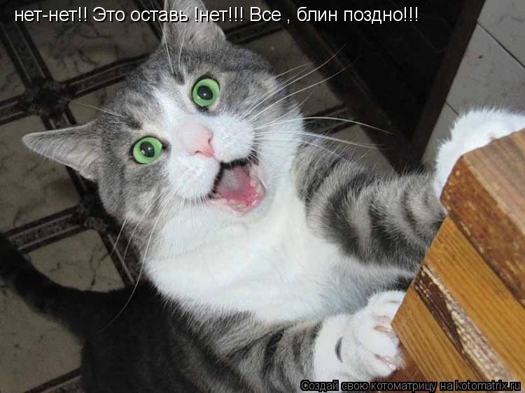 Котоматрица: нет-нет!! Это оставь !нет!!! Все , блин поздно!!!