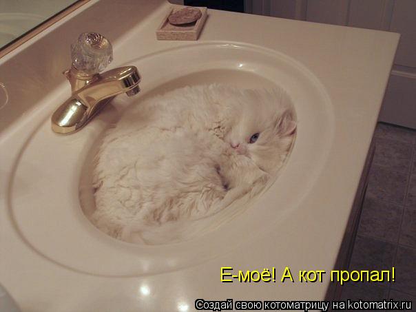 Котоматрица: Е-моё! А кот пропал!