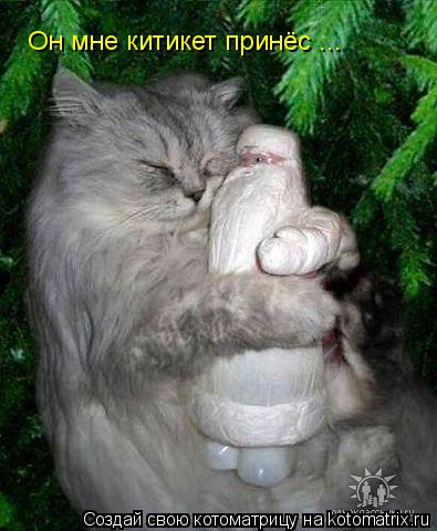 Котоматрица: Он мне китикет принёс ...