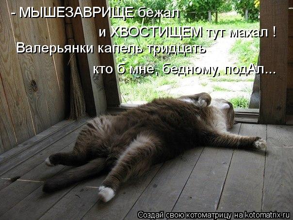 Валерьянки капель тридцать кто б мне, бедному, подАл... - МЫШЕЗАВРИЩЕ бежал и ХВОСТИЩЕМ тут махал !... Котоматрица: Валерьянки капель тридцать кто б мне, бедному, подАл... - МЫШЕЗАВРИЩЕ бежал и ХВОСТИЩЕМ тут махал !