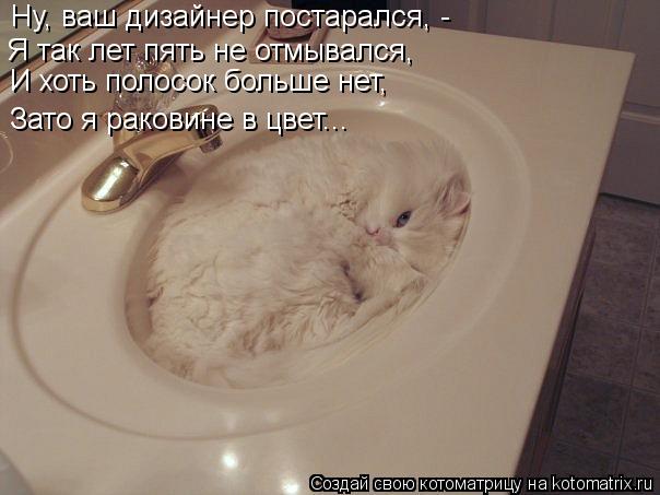Котоматрица: Ну, ваш дизайнер постарался, - Я так лет пять не отмывался, И хоть полосок больше нет, Зато я раковине в цвет...