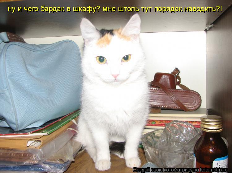 Котоматрица: ну и чего бардак в шкафу? мне штоль тут порядок наводить?!