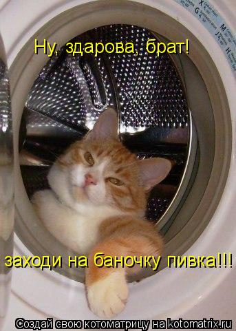 Котоматрица: Ну, здарова, брат! заходи на баночку пивка!!!