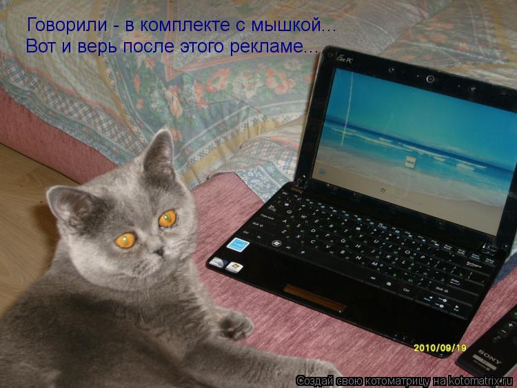 Котоматрица: Говорили - в комплекте с мышкой... Вот и верь после этого рекламе...