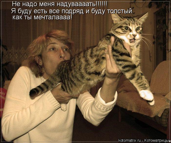 Котоматрица: Не надо меня надуваааать!!!!!! Я буду есть все подряд и буду толстый как ты мечталаааа!