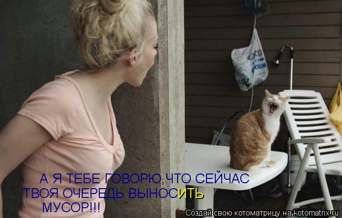 Котоматрица: А Я ТЕБЕ ГОВОРЮ,ЧТО СЕЙЧАС ТВОЯ ОЧЕРЕДЬ ВЫНОС ИТЬ МУСОР!!!