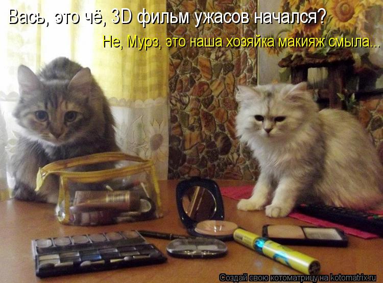 Вась, это чё, 3D фильм ужасов начался? Не, Мурз, это наша хозяйка макияж смыла...... Котоматрица: Вась, это чё, 3D фильм ужасов начался? Не, Мурз, это наша хозяйка макияж смыла...