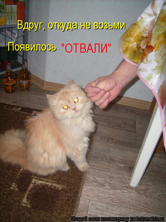 Вдруг, откуда не возьми Появилось "ОТВАЛИ"... Котоматрица: Вдруг, откуда не возьми Появилось "ОТВАЛИ"