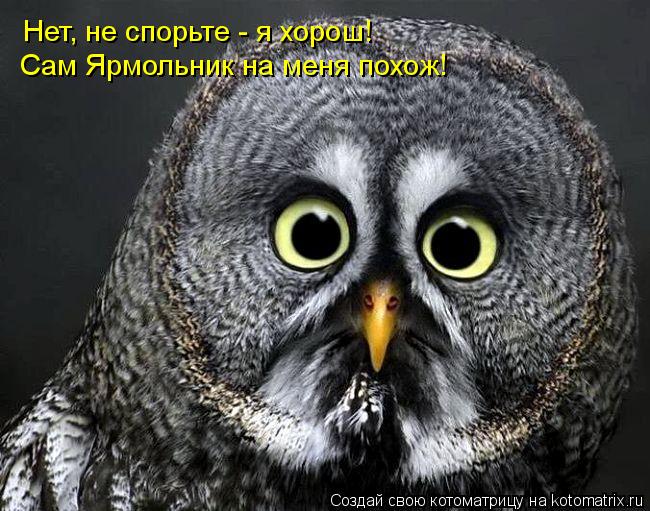 Нет, не спорьте - я хорош! Сам Ярмольник на меня похож!... Котоматрица: Нет, не спорьте - я хорош! Сам Ярмольник на меня похож!