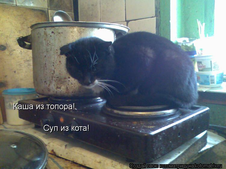 Каша из топора! Суп из кота!... Котоматрица: Каша из топора! Суп из кота!