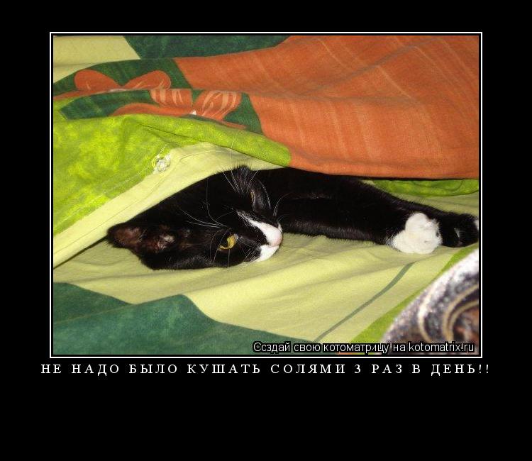 Котоматрица:  