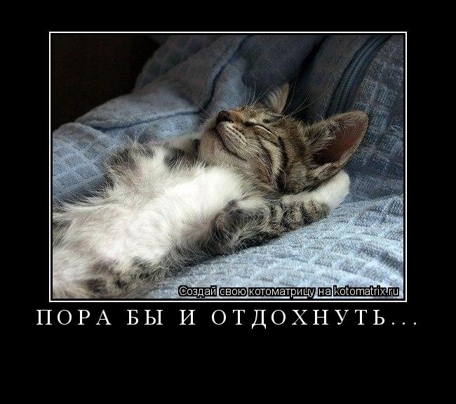 Котоматрица: пора бы и отдохнуть... 