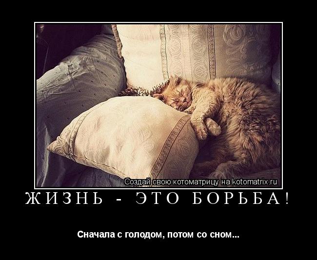 Котоматрица: Жизнь - это борьба! Сначала с голодом, потом со сном...