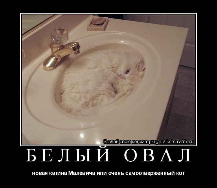 Котоматрица: белый овал новая катина Малевича или очень самоотверженный кот