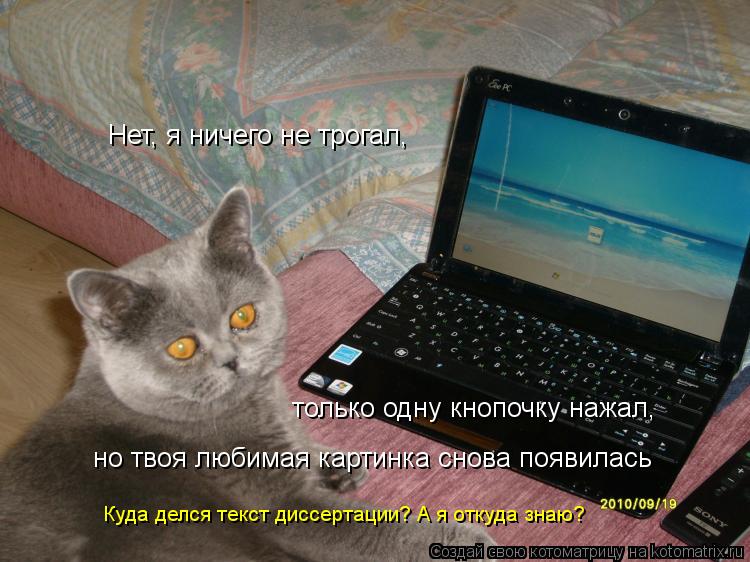 Нет, я ничего не трогал, но твоя любимая картинка снова появилась Куда делся текст диссертации? А я о... Котоматрица: Нет, я ничего не трогал, но твоя любимая картинка снова появилась Куда делся текст диссертации? А я откуда знаю? только одну кнопочку нажал,