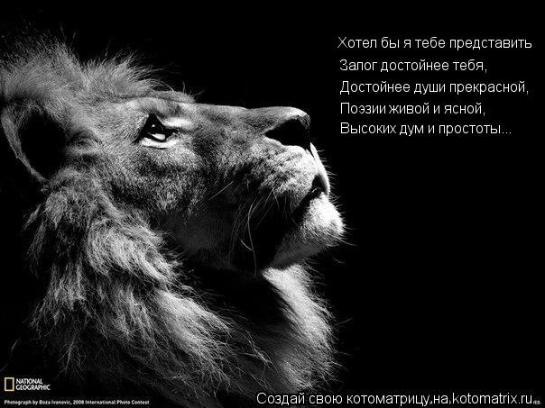Хотел бы я тебе представить Залог достойнее тебя, Достойнее души прекрасной, Поэзии живой и ясной, Вы... Котоматрица: Хотел бы я тебе представить Залог достойнее тебя, Достойнее души прекрасной, Поэзии живой и ясной, Высоких дум и простоты...