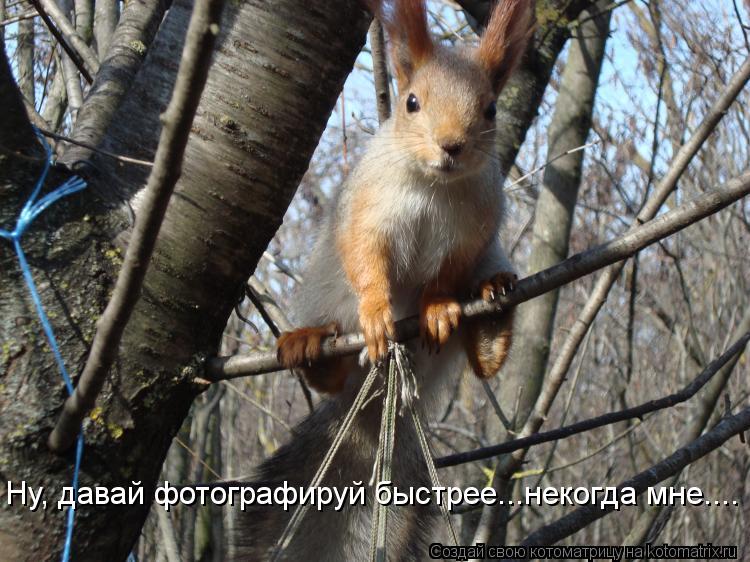 Ну, давай фотографируй быстрее...некогда мне....... Котоматрица: Ну, давай фотографируй быстрее...некогда мне....